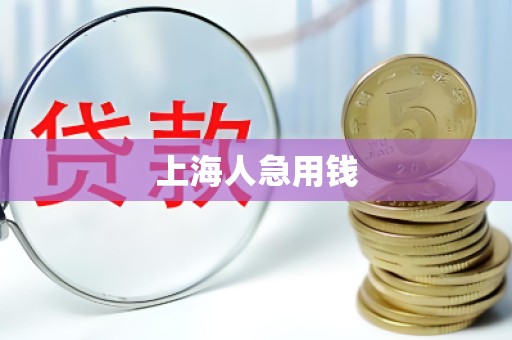 上海人急用钱