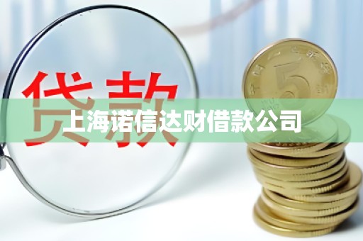 上海诺信达财借款公司