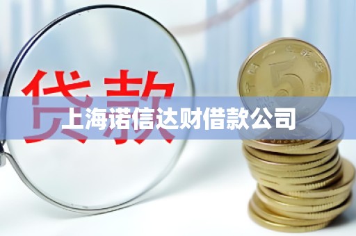 上海诺信达财借款公司