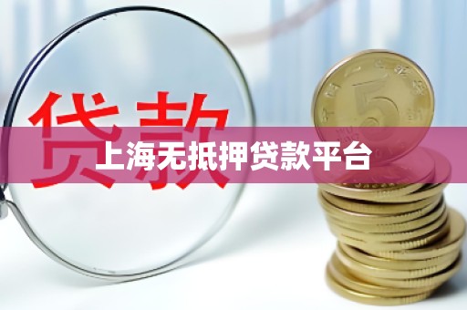 上海无抵押贷款平台