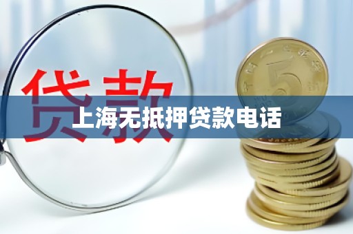 上海无抵押贷款电话