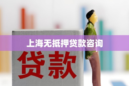 上海无抵押贷款咨询
